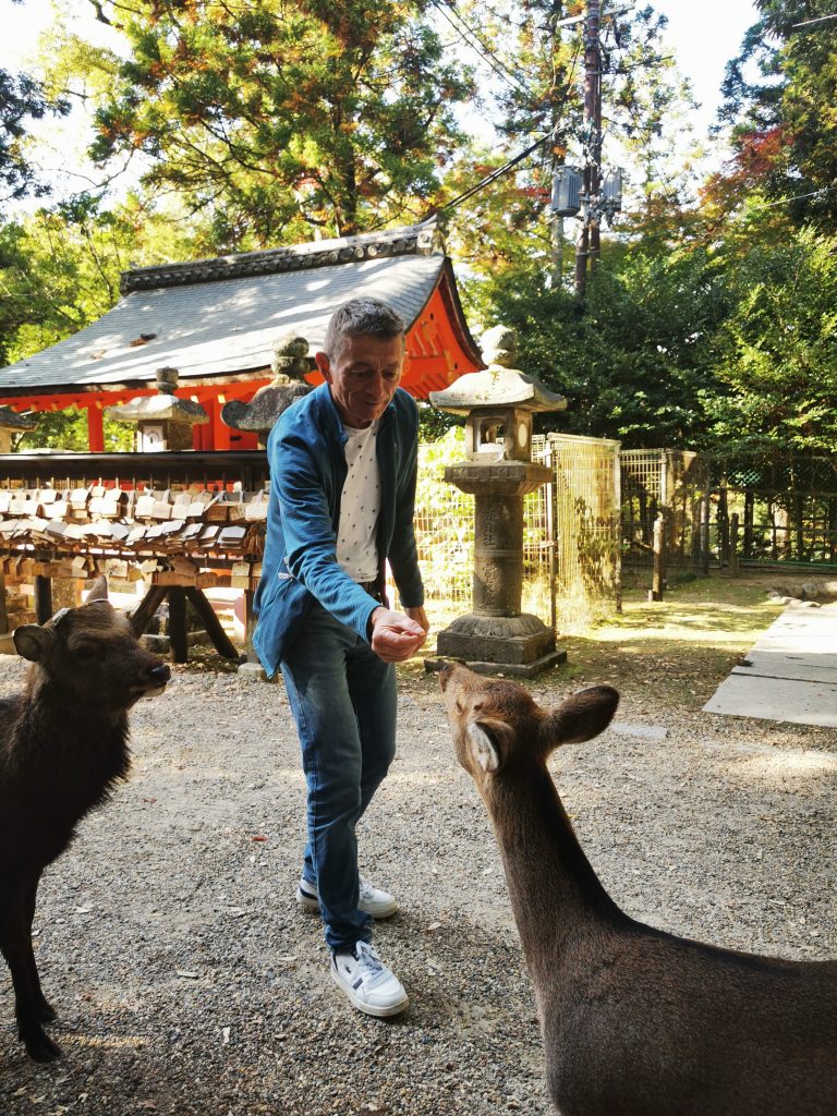 La region du Kansai : Kyoto Nara Osaka
