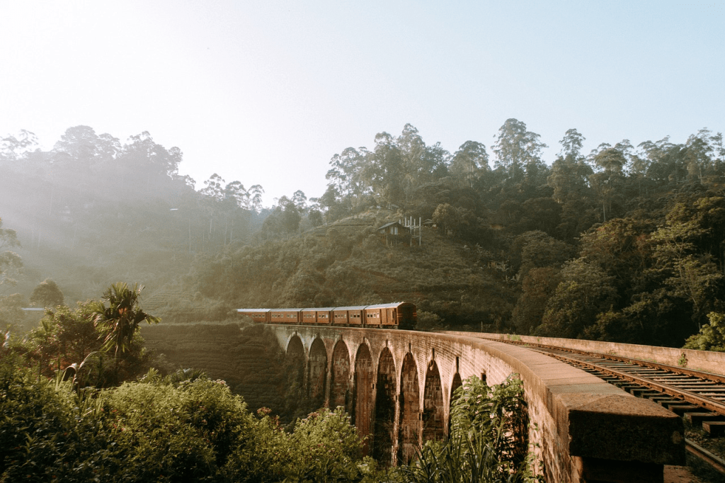 utilisé (QSN, sri lanka )
