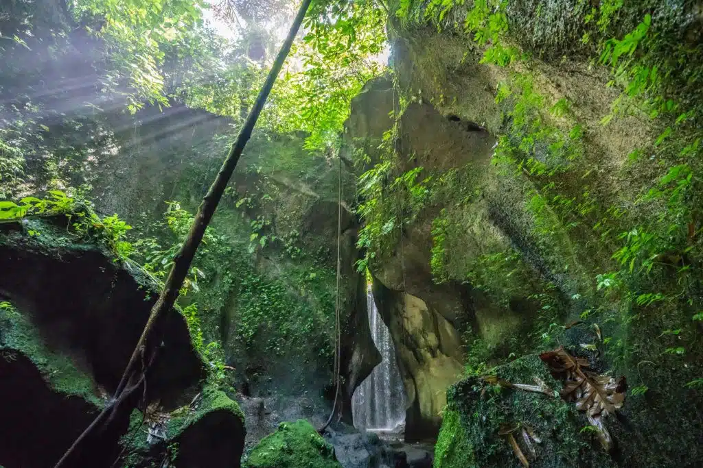 waterfall sidemen