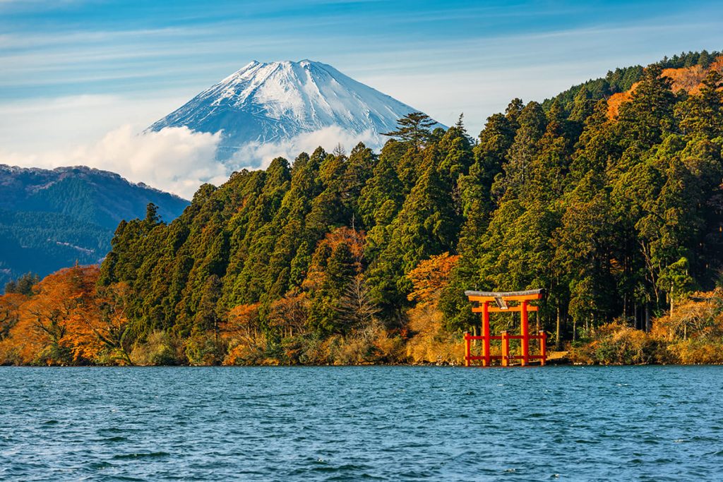 Voyage au Japon avec un expert