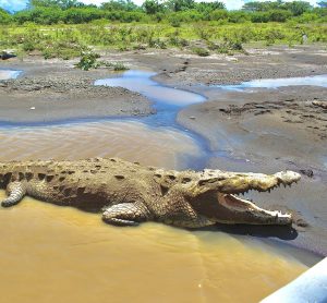 Lieux à découvrir au Costa Rica | Voyage Costa Rica Tarcoles