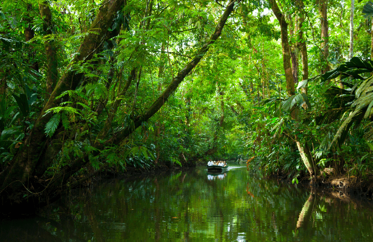 Les bons plans pour votre voyage au Costa Rica