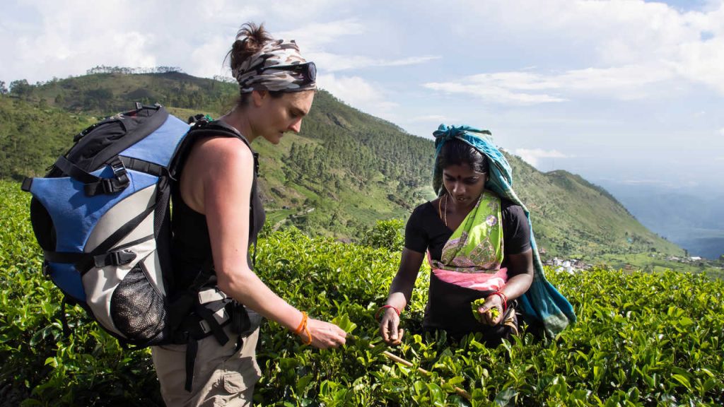 bons plans pour votre voyage au Sri Lanka