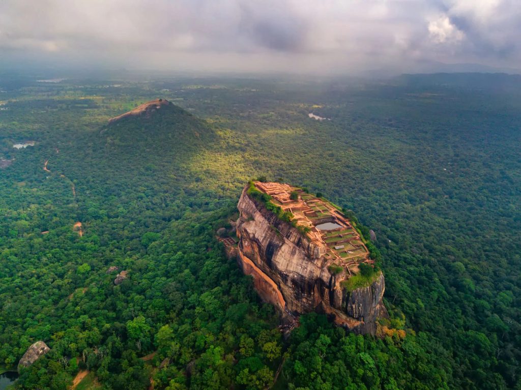 Le rochet du Lion au Sri Lanka