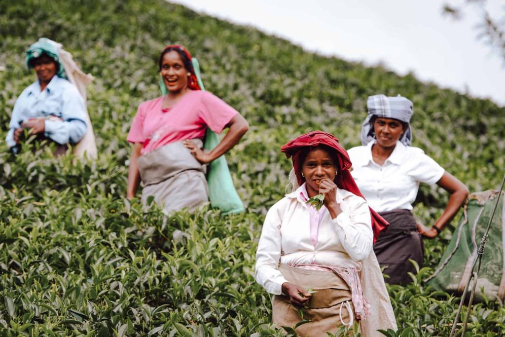 bons plans pour votre voyage au Sri Lanka