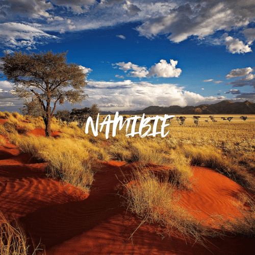 Namibie de la page Contact