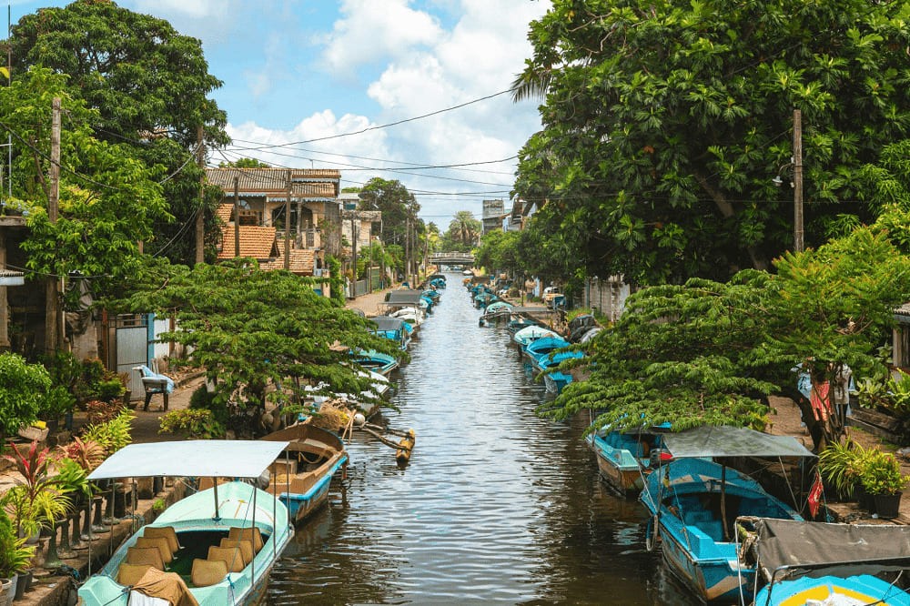 Negombo, premiers pas au Sri Lanka, plages dorées, marché aux poissons et passé colonial.