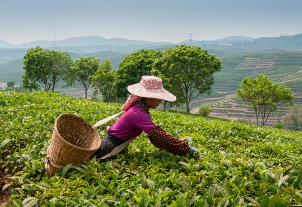 Lieux à découvrir au Sri Lanka