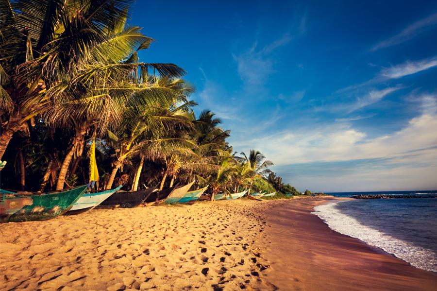 Mirissa en détente sur ses plages de rêves