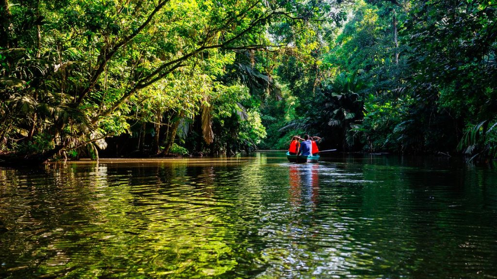 Tortuguero biodiversité exceptionnelle | Riviere