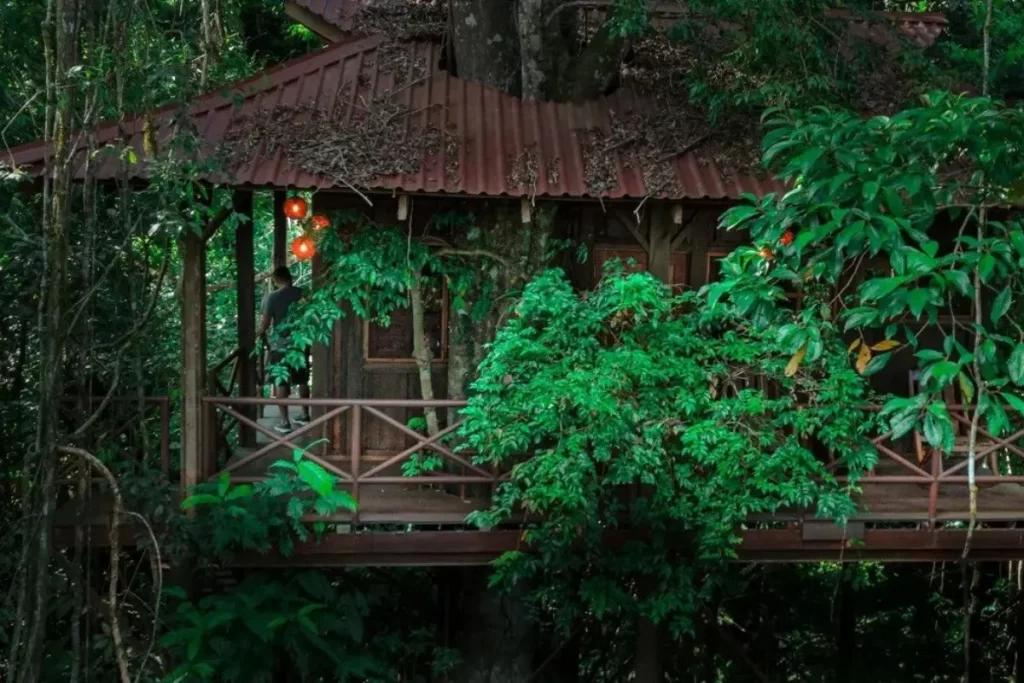 Où dormir au Costa Rica | Logement atypique
